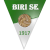 logo of Biri SE