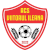 logo of ACS Viitorul Ileana