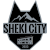logo of Şəki City FK