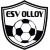 logo of ES Viroin-Olloy