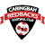 logo of Caringbah Redbacks FC