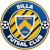 logo of Sillamäe Silla FC