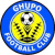 logo of Ghupo FC