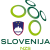 Team icon of سلوفينيا