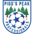 logo of Pigg's Peak Professionals FC