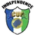 logo of Independence Cup