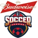Logo of Budweiser Soccer League Division 1 2017/2018