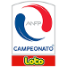 Logo of الدوري التشيلي - الدرجة الثانية 2018