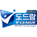 Logo of Dodram V-League 2019/2020