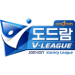 Logo of Dodram V-League 2021/2022