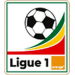 Logo of Championnat National Ligue 1 Orange 2021/2022