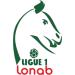 Logo of Ligue 1 Lonab 2021/2022