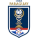 Logo of Кубок Паргвая  2021