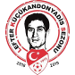 Logo of Турецкая суперлига  2018/2019