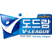 Logo of Dodram V-League 