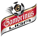 Logo of Gambrinus liga 2011/2012