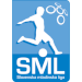 Logo of Словенская молодежная лига 1 2021/2022