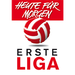 Logo of Вторая лига Австрии 2013/2014