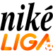Logo of Фортуна лига 2023/2024