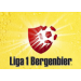 Logo of Liga I Bergenbier 2014/2015