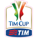 Logo of TIM Cup 2014/2015