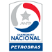 Logo of Campeonato Nacional Petrobras 2010