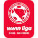 Logo of Wwin liga BiH 2023/2024