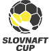 Logo of Slovnaft Cup 2020/2021