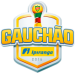 Logo of Лига Гаушу 2016