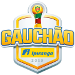Logo of Лига Гаушу 2019