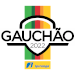 Logo of Gauchão Ipiranga 2022