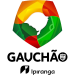 Logo of Лига Гаушу 2024