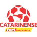 Logo of Лига Катариненсе 2024