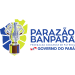 Logo of Лига Параэнсе 2024