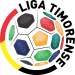 Logo of Футбольная лига Амадора 2021