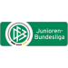 Logo of Бундеслига U-19 2022/2023