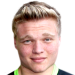 player picture of N. Heeren