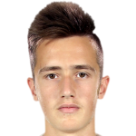 Player picture of Milán Fehér