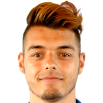 player picture of N. Ibričić