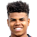 Player picture of Bryan Fortes Gomes