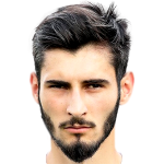 Player picture of Delvin Skenderovic