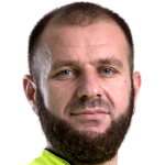 Player picture of Fahrudin Mustafić