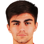 Player picture of Alan Tsaraev