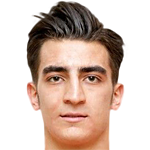 Player picture of محمد سولتانيمهر