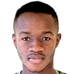 Player picture of Amadou Diarra