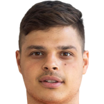player picture of D. Mesic