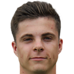 player picture of P. Dirix
