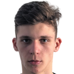 Player picture of Стефан Тарновану