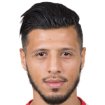 Player picture of انيس بدري
