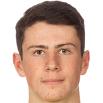 player picture of V. Stulic